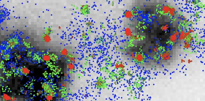 Ribosomal protein tracking